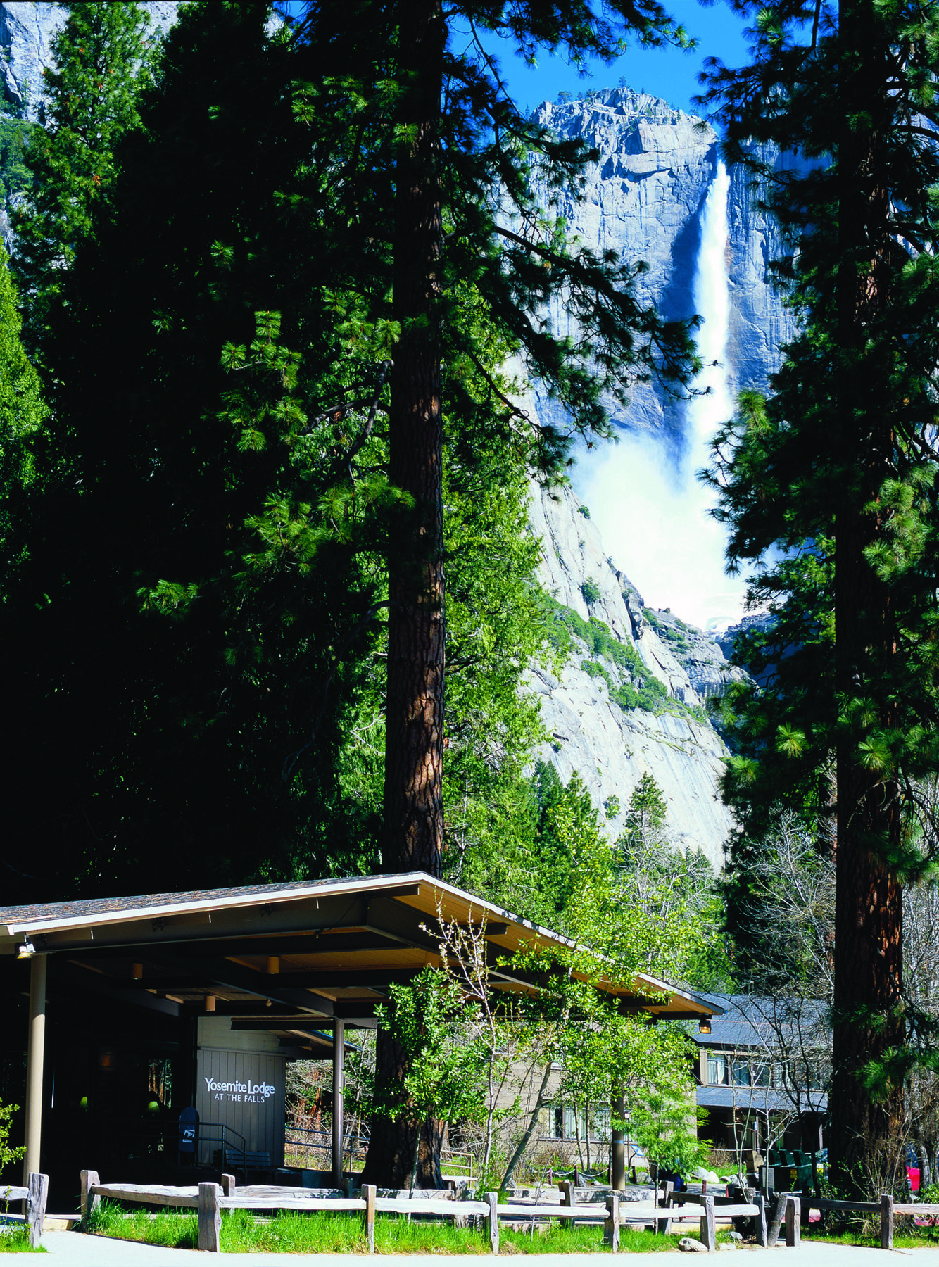 Yosemite Valley Lodge Yosemite Village Exterior foto